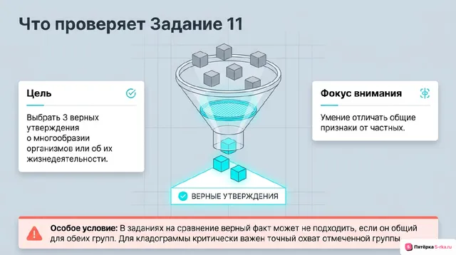 Слайд 2 презентации-разбора задания 11