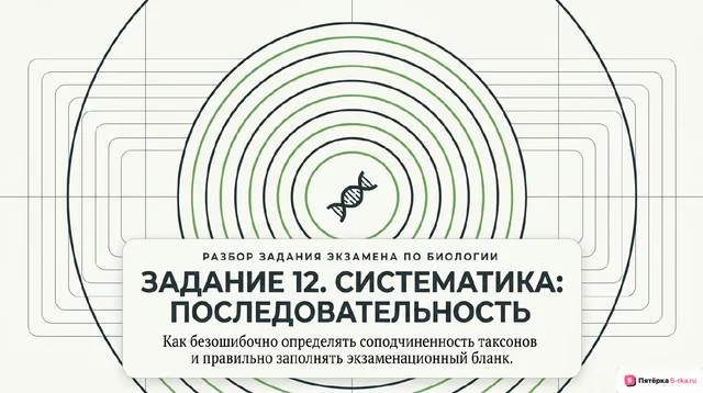 Слайд 1 презентации-разбора задания 12