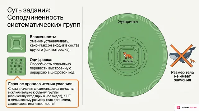 Слайд 2 презентации-разбора задания 12