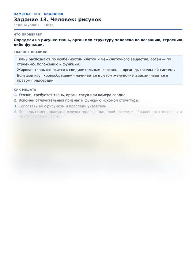 Начало памятки к заданию 13