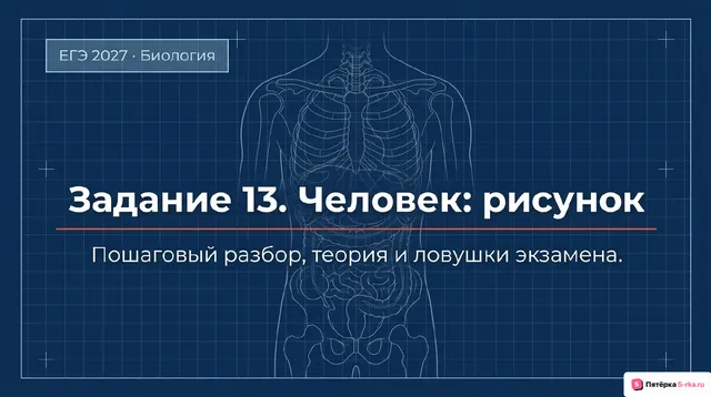 Слайд 1 презентации-разбора задания 13