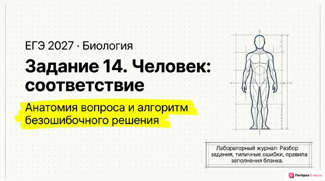 Слайд 1 презентации-разбора задания 14