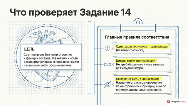 Слайд 2 презентации-разбора задания 14