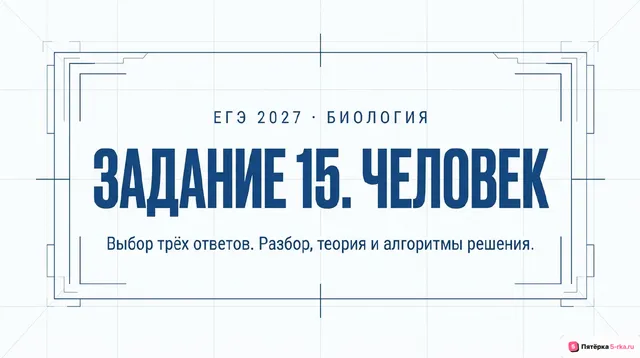 Слайд 1 презентации-разбора задания 15