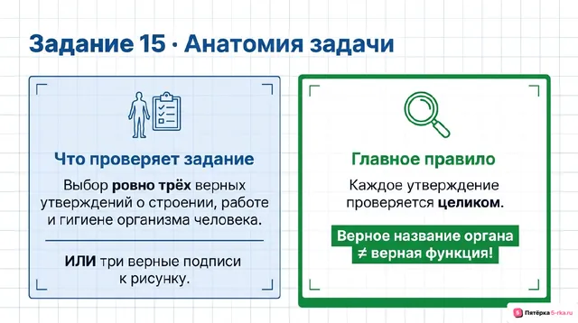 Слайд 2 презентации-разбора задания 15