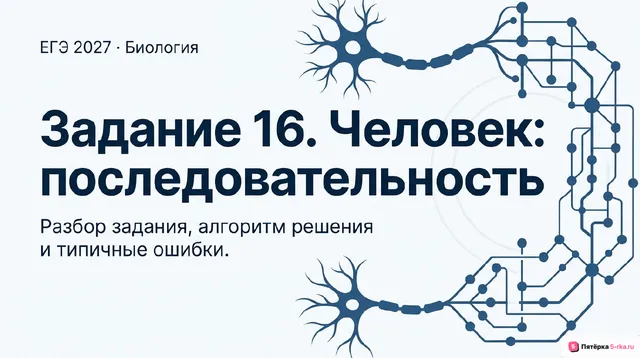 Слайд 1 презентации-разбора задания 16