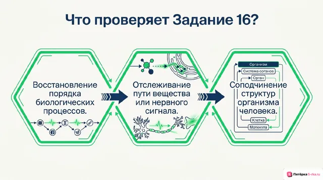 Слайд 2 презентации-разбора задания 16