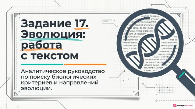 Слайд 1 презентации-разбора задания 17