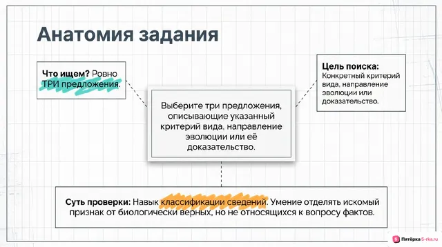Слайд 2 презентации-разбора задания 17