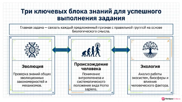 Слайд 2 презентации-разбора задания 19