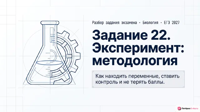 Слайд 1 презентации-разбора задания 22
