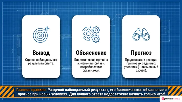 Слайд 2 презентации-разбора задания 23