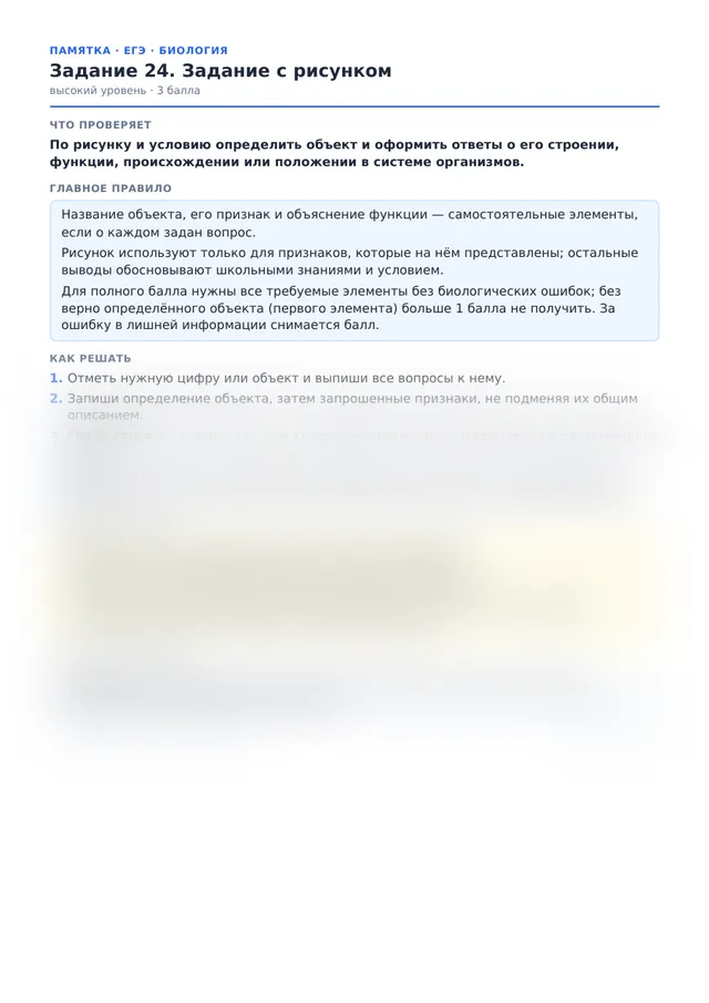 Начало памятки к заданию 24