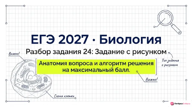 Слайд 1 презентации-разбора задания 24