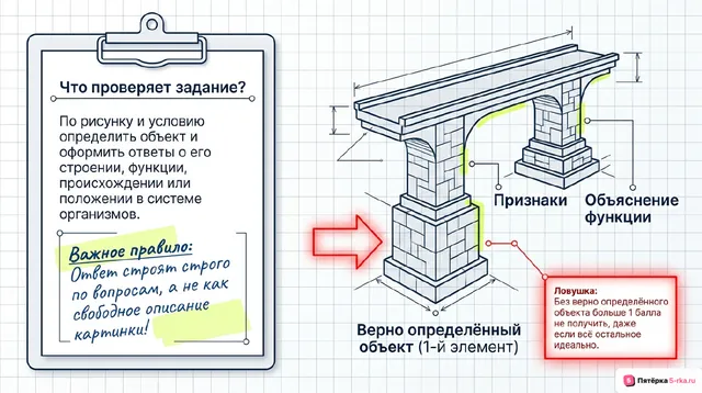 Слайд 2 презентации-разбора задания 24