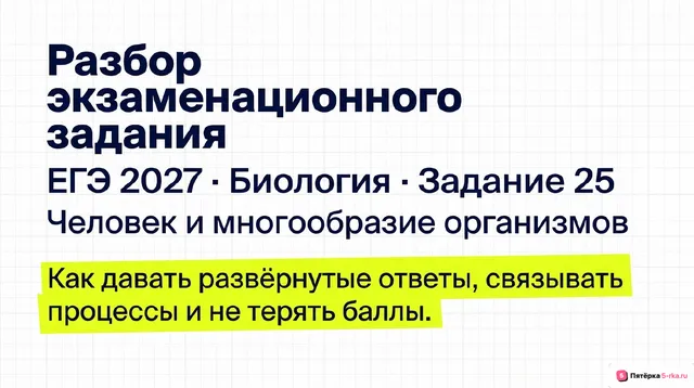 Слайд 1 презентации-разбора задания 25