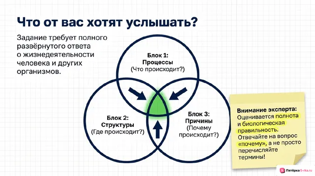 Слайд 2 презентации-разбора задания 25