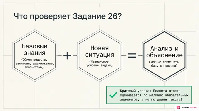 Слайд 2 презентации-разбора задания 26