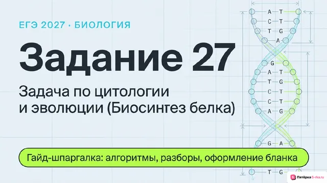 Слайд 1 презентации-разбора задания 27