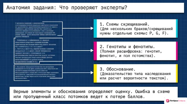 Слайд 2 презентации-разбора задания 28
