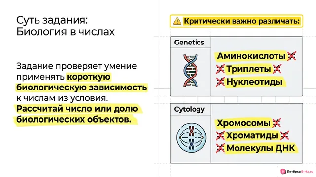 Слайд 2 презентации-разбора задания 3