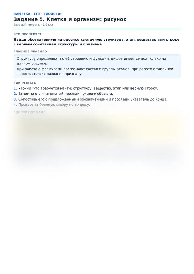 Начало памятки к заданию 5