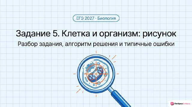 Слайд 1 презентации-разбора задания 5