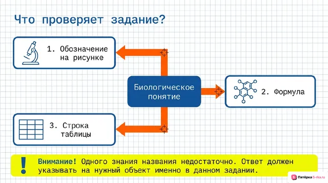 Слайд 2 презентации-разбора задания 5