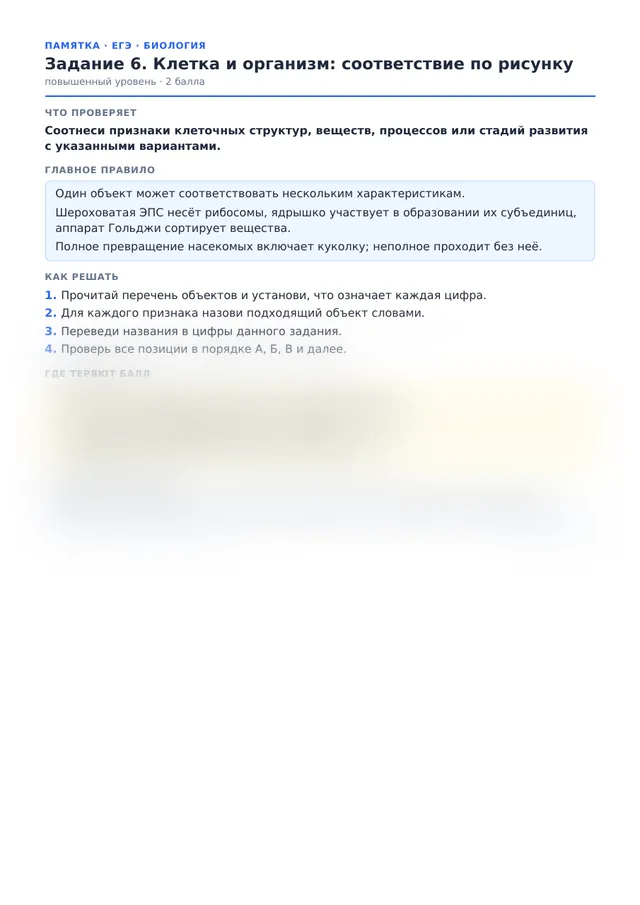 Начало памятки к заданию 6