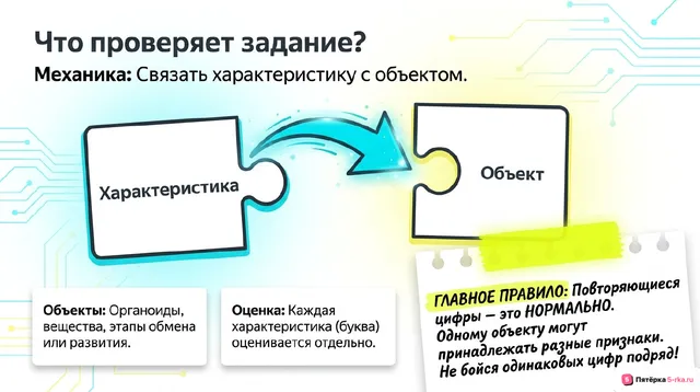 Слайд 2 презентации-разбора задания 6