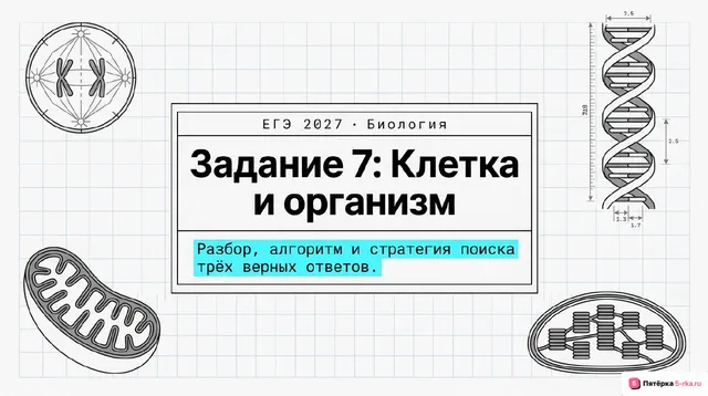 Слайд 1 презентации-разбора задания 7