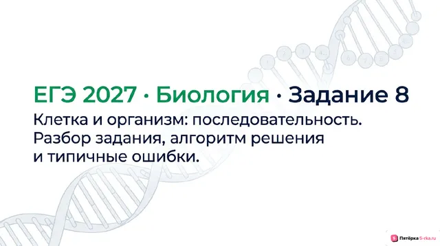 Слайд 1 презентации-разбора задания 8
