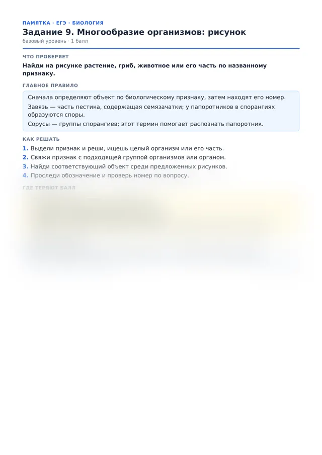 Начало памятки к заданию 9