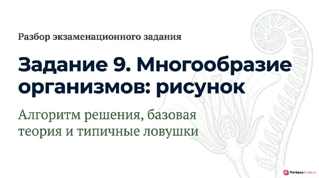 Слайд 1 презентации-разбора задания 9