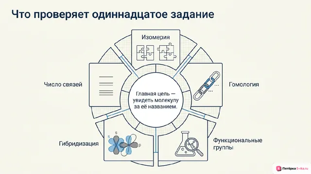 Слайд 2 презентации-разбора задания 11