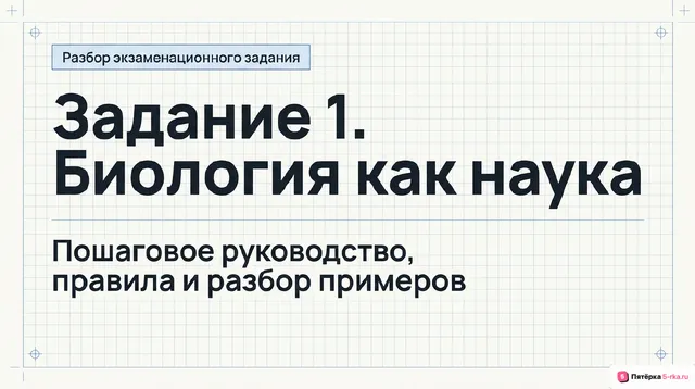 Слайд 1 презентации-разбора задания 1