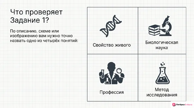 Слайд 2 презентации-разбора задания 1