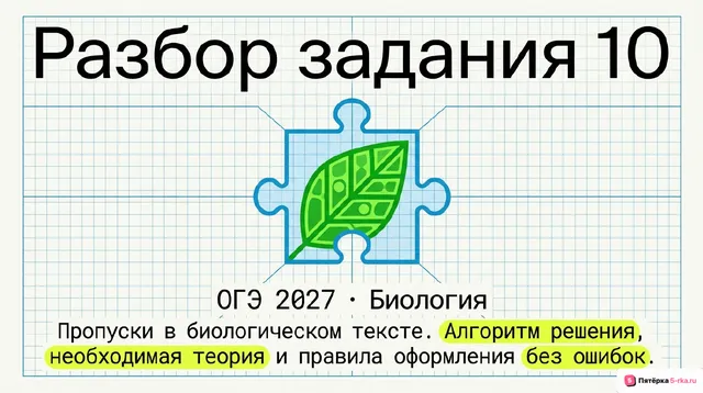 Слайд 1 презентации-разбора задания 10