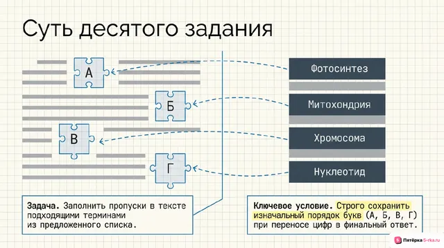 Слайд 2 презентации-разбора задания 10