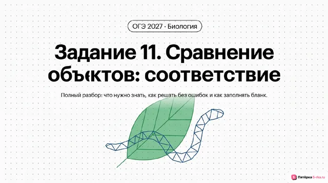 Слайд 1 презентации-разбора задания 11