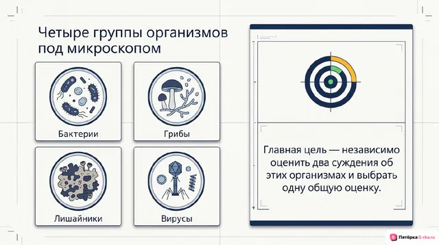 Слайд 2 презентации-разбора задания 12