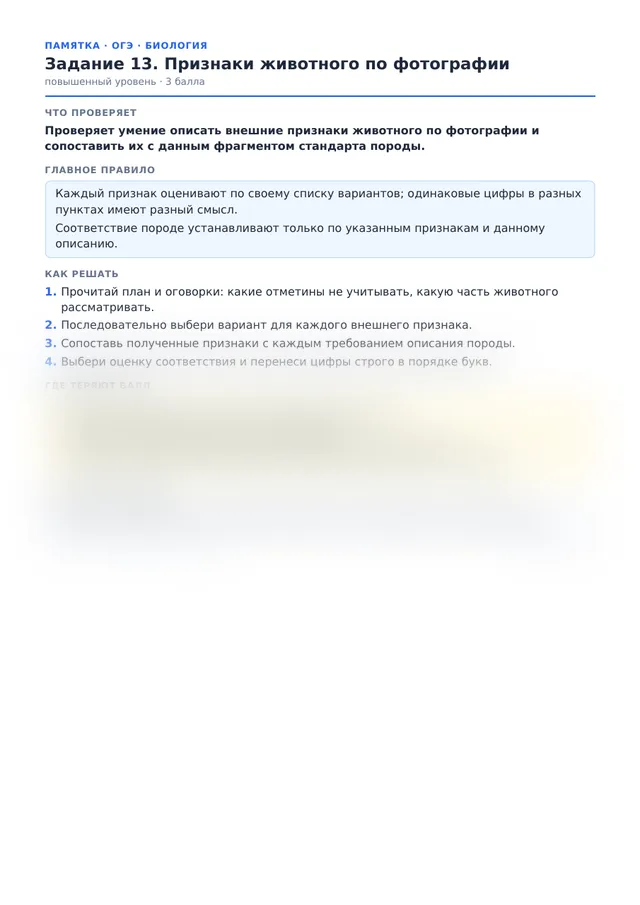 Начало памятки к заданию 13
