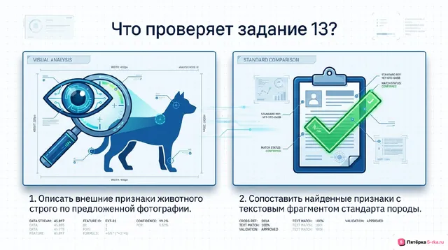 Слайд 2 презентации-разбора задания 13