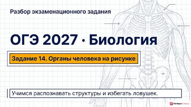 Слайд 1 презентации-разбора задания 14