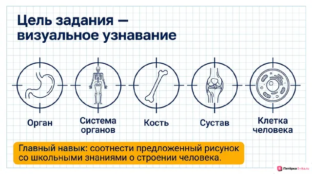 Слайд 2 презентации-разбора задания 14