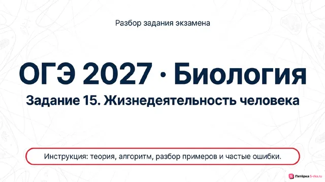Слайд 1 презентации-разбора задания 15