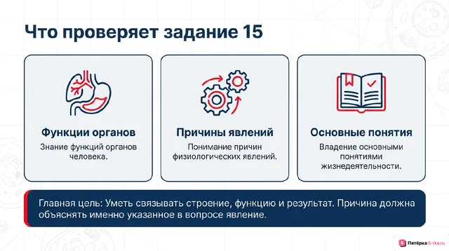 Слайд 2 презентации-разбора задания 15