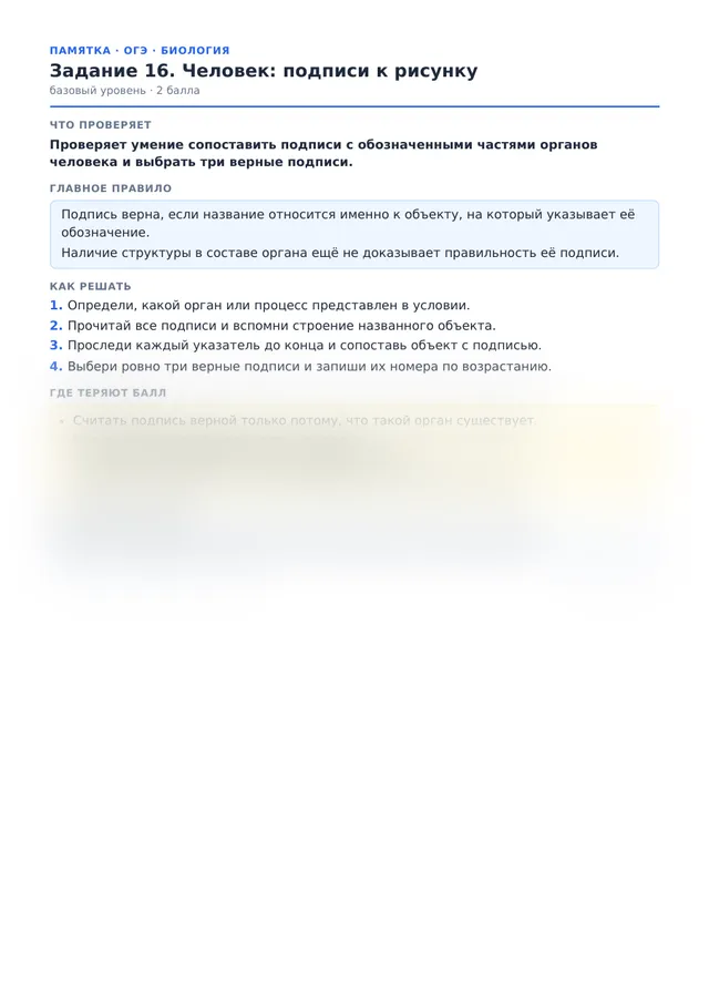 Начало памятки к заданию 16
