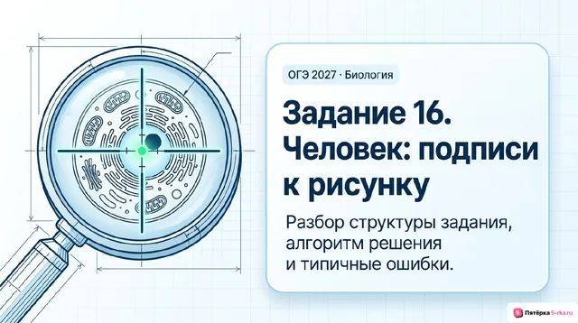 Слайд 1 презентации-разбора задания 16