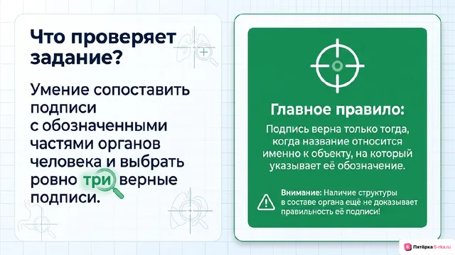 Слайд 2 презентации-разбора задания 16
